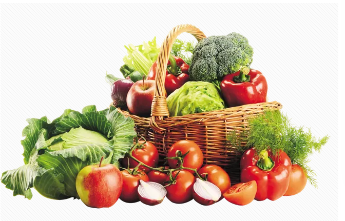 佛山蔬菜配送公司 佛山蔬菜配送公司