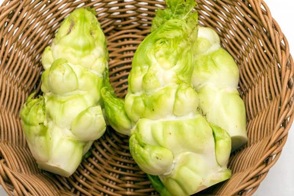 佛山農產品配送