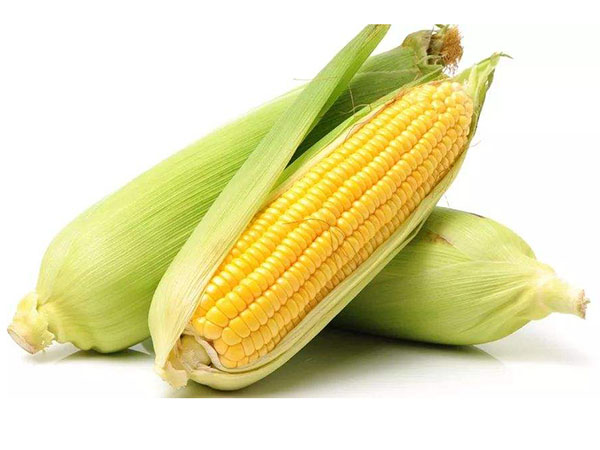 佛山農產品批發(fā)